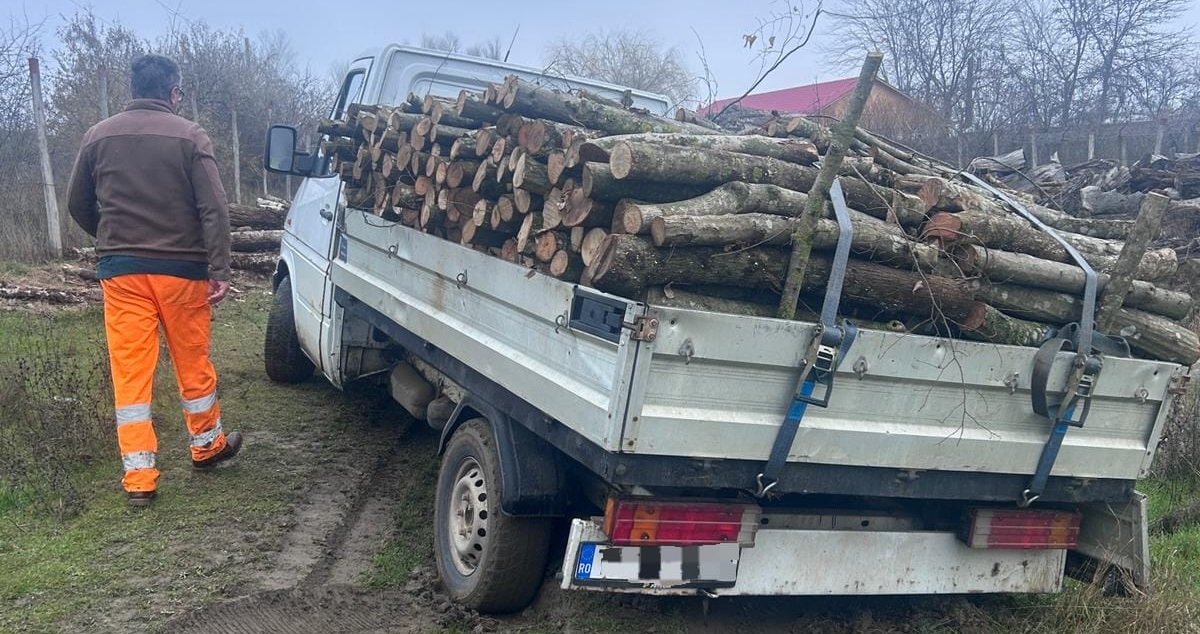 Bărbat din Măcin, prins de polițiști cu o camionetă plină de lemne, fără documente