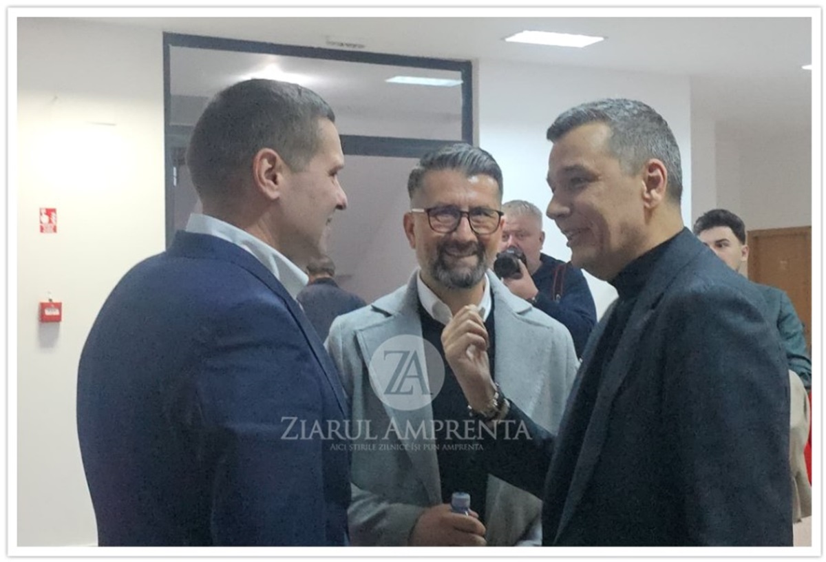 Corneliu Ștefan Decebal Făgădău Sorin Grindeanu PSD