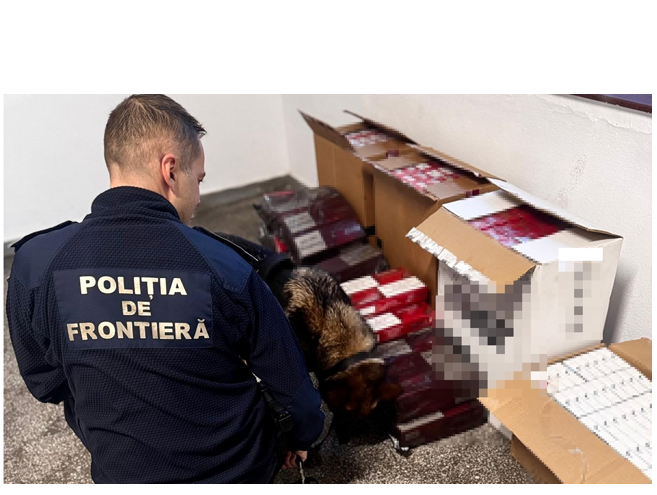 Zeci de mii de țigarete de contrabandă descoperite la bordul unei nave aflate în Portul Constanța