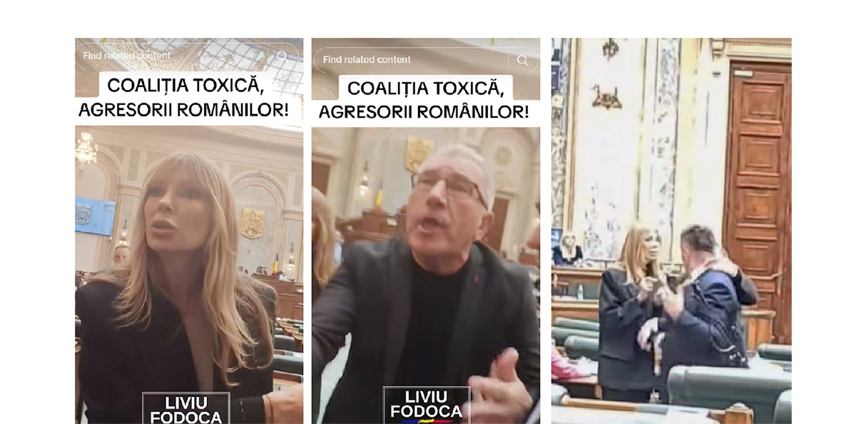 VIDEO SCANDAL în Senat: Doi parlamentari PSD şi un senator al grupului Pace-Întâi România, la un pas de bătaie