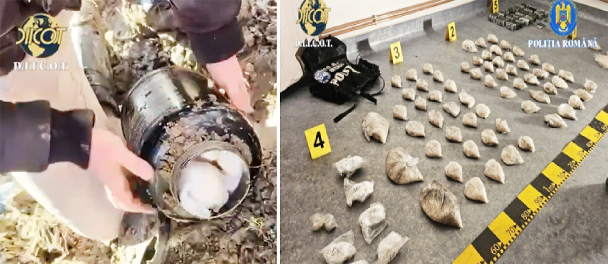 VIDEO MEGA lovitură DIICOT: Kilograme de cocaină și cristal, ÎNGROPATE de traficanții de droguri