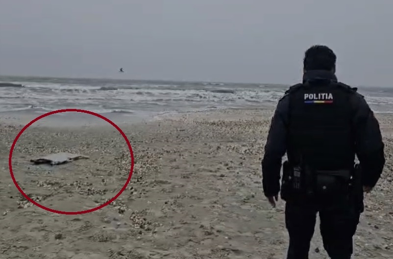 VIDEO Aripa unei drone prăbușită în Marea Neagră, găsită în Mamaia Nord! La fața locului s-au deplasat oficialii MApN și alte autorități