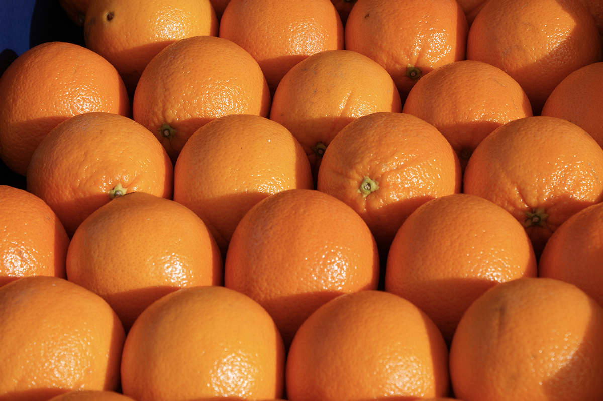 ANCHETĂ de amploare: Peste 12 tone de portocale din Egipt, pline de pesticide și cu origine falsă, vândute în România