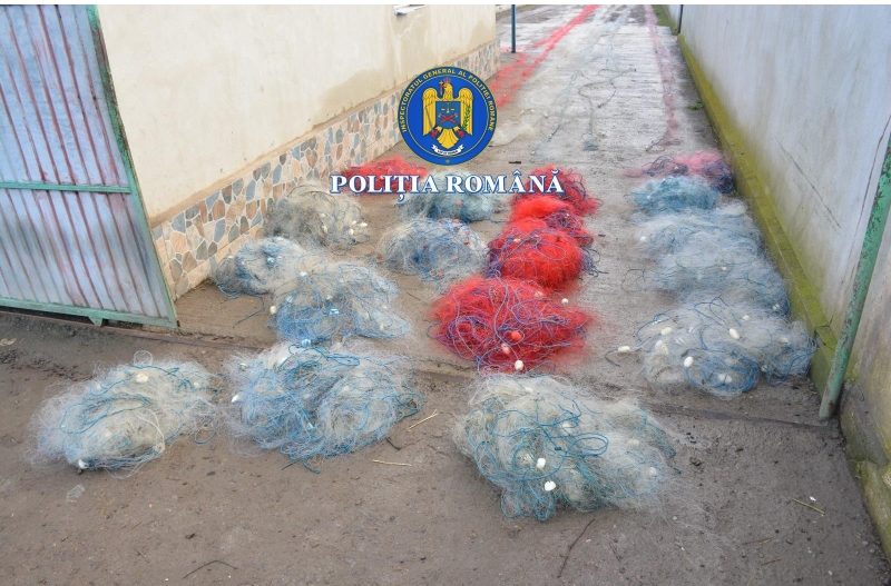 Percheziții la braconieri
