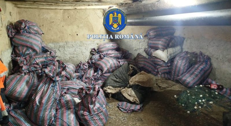 Tulcea: 4 bărbați au ajuns după gratii în dosarul de braconaj piscicol instrumentat de polițiștii de frontieră