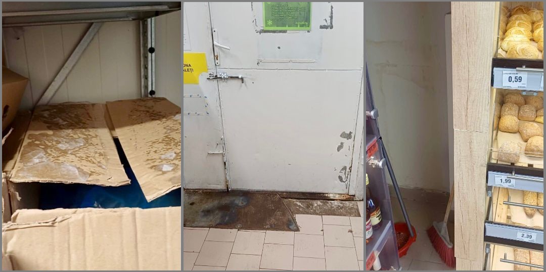 controale DSVSA Constanța