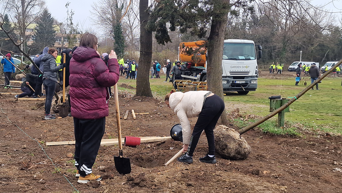 acțiune de plantare de copaci, organizată de Asociația Caravana Fericirii