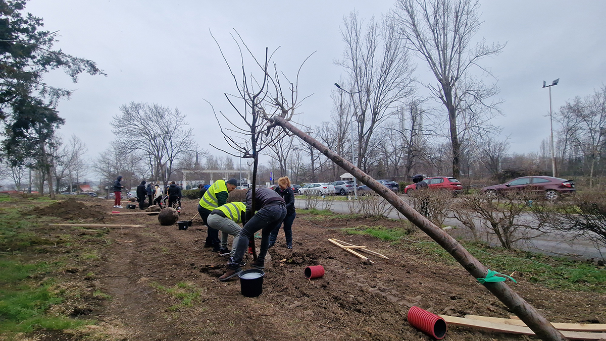 acțiune de plantare de copaci, organizată de Asociația Caravana Fericirii