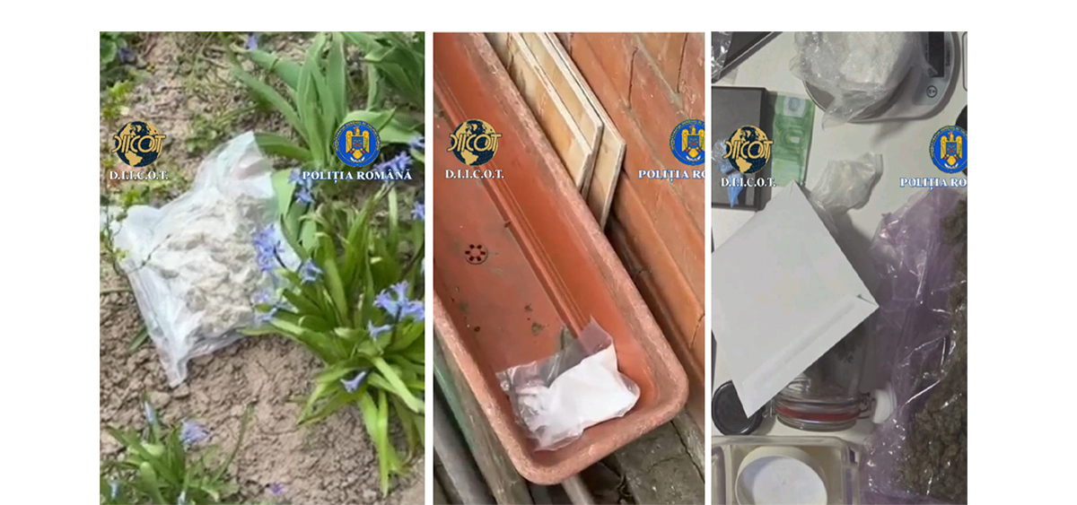 Droguri ascunse în grădină, printre zambile: Traficanți prinși cu sute de grame de stupefiante