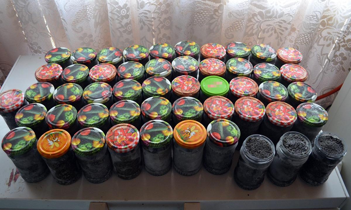 FOTO VIDEO Percheziții la braconierii de sturioni: Icre negre de 150.000 de lei, confiscate de jandarmii constănțeni