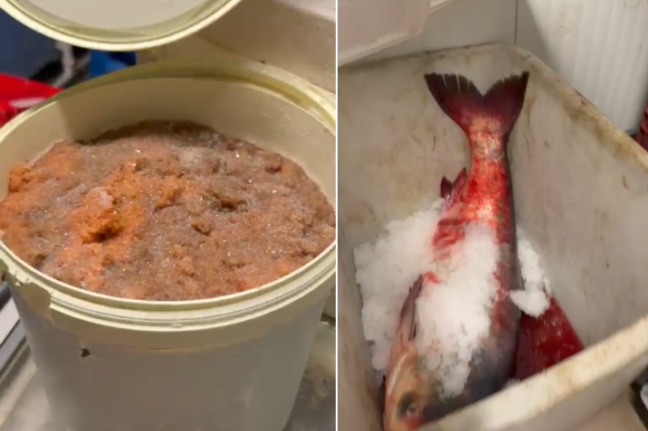 VIDEO Un depozit din Constanța, unde se prelucra peștele, ÎNCHIS temporar de Protecția Consumatorilor. Funcționa fără autorizație de la primărie ori de la DSVSA