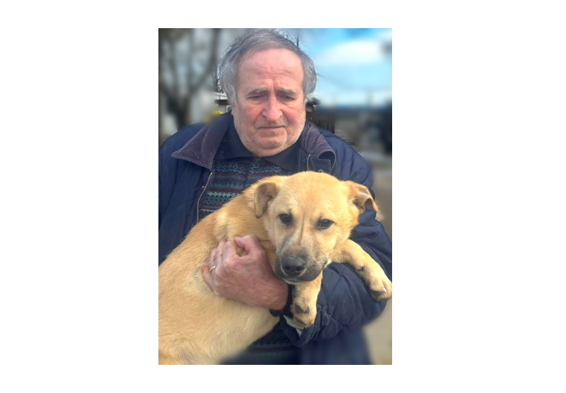 Vești minunate din Adăpostul Public de Animale Abandonate Constanța!