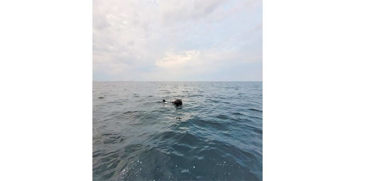 Minele marine în derivă în Marea Neagră, subiect de dispută între Ministerul Apărării și Ambasada Rusiei