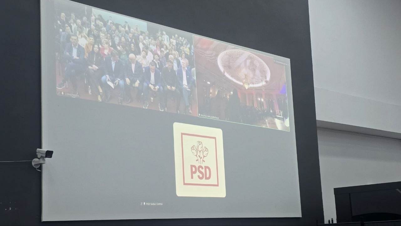 PSD Constanța consultare internă