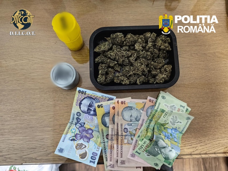 dealeri droguri narcotice