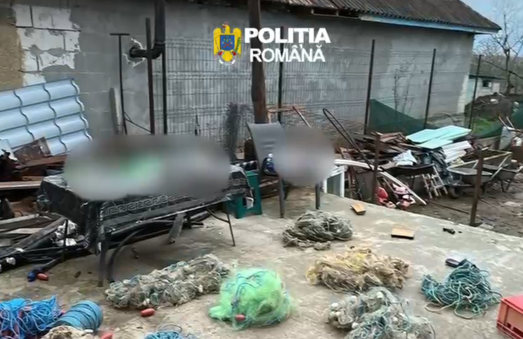 VIDEO Descinderi de amploare în Seimeni, Dunărea, Topalu, Capidava și Hârșova într-un dosar privind infracțiuni de braconaj, furt și tăinuire