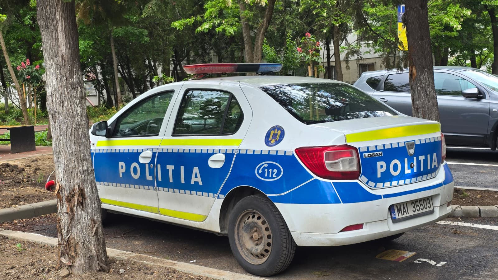 Șofer băut scos din trafic de polițiștii din Tulcea! S-a ales cu dosar penal