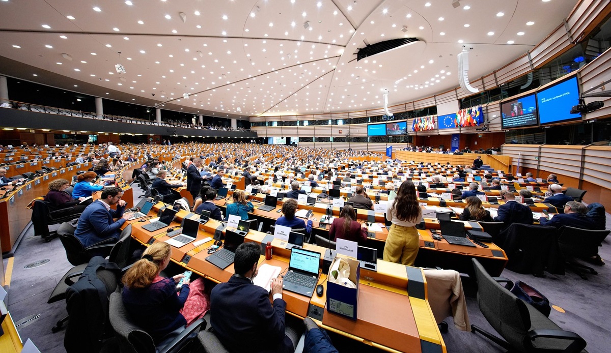 Mariana Gâju Parlamentul European