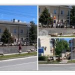 VIDEO Imagini INCREDIBILE: Peste 400 de oi aduse la Primăria Băneasa, în curte, pe scări! Ce spun primarul Eleonor Blăgan și proprietarul ovinelor