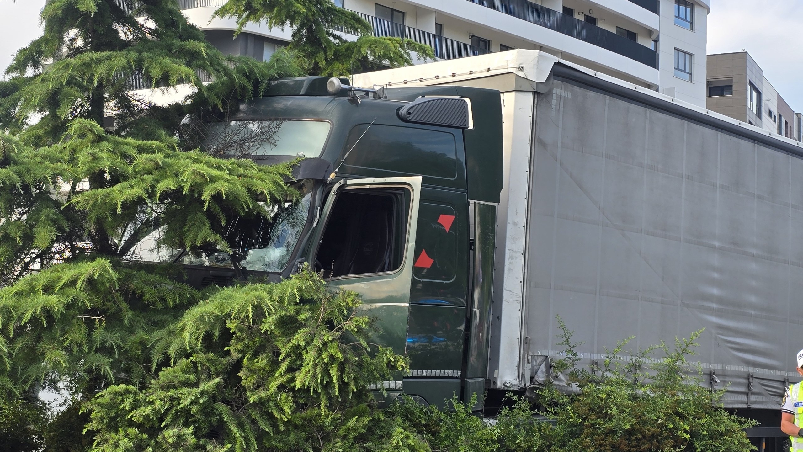 OFICIAL Cum spun polițiștii că a avut loc accidentul din Constanța în care a fost implicat un TIR. La un pas de nororcire după ce șoferului i s-a făcut rău