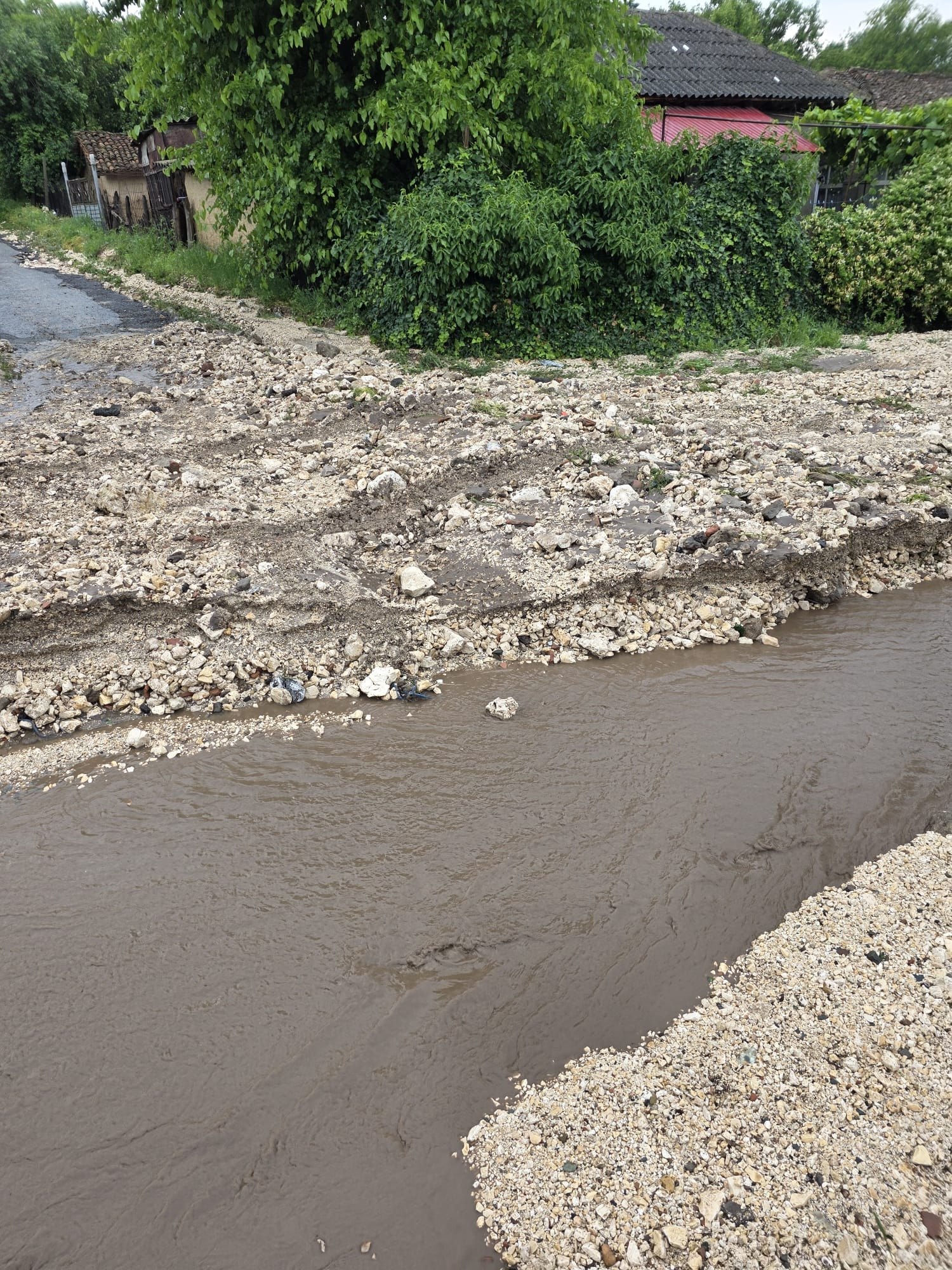 Inundatii Lipnita (2)