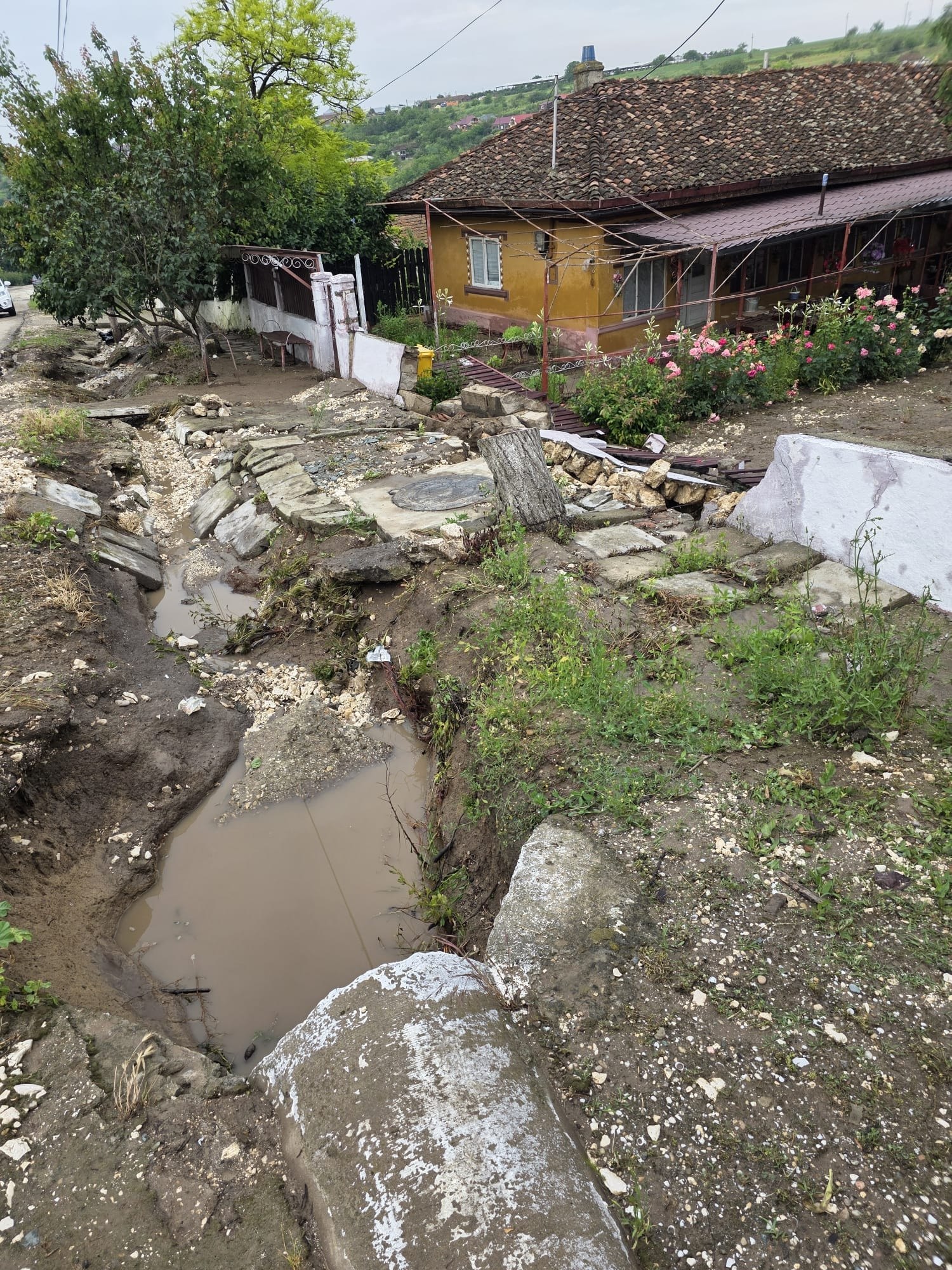 Inundatii Lipnita (2)