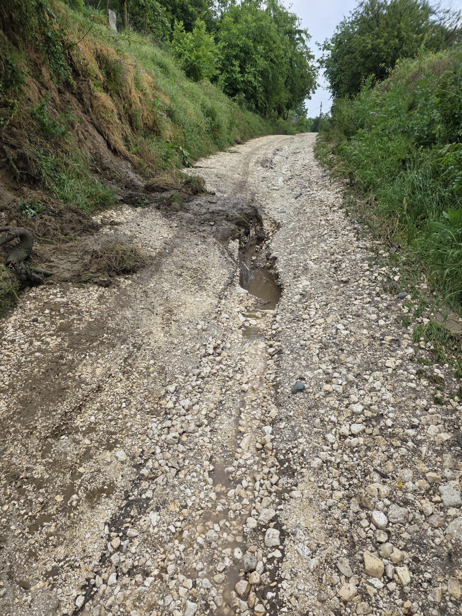 Inundatii Lipnita (2)