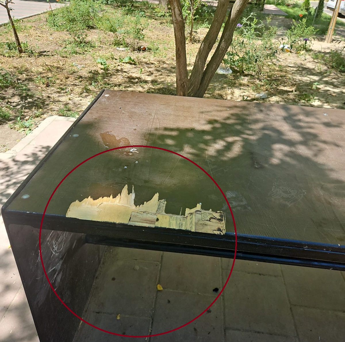 Poliția Locală îi caută pe cei care au vandalizat mobilierul urban din zona Tomis Nord: este doar o chestiune de timp
