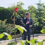 LISTĂ Mai mulți judecători și procurori se pensionează! Președintele Nicușor Dan a semnat decretele. Iată cine sunt magistrații