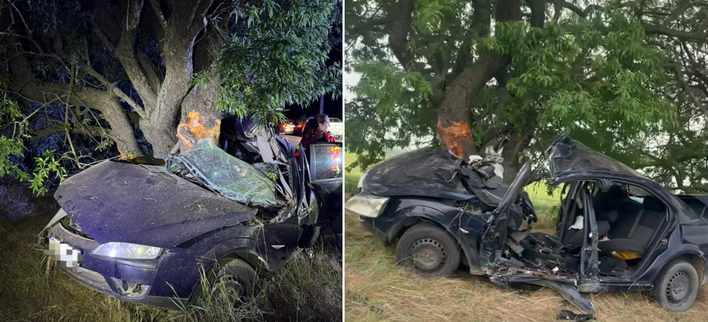 Un autoturism a intrat într-un copac de pe marginea DJ 222, între Agighiol și Sabangia, în județul Tulcea. Doi tineri au ajuns la spital