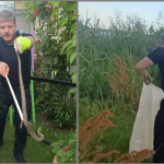 Șarpe capturat de jandarmi într-o gospodărie din Năvodari