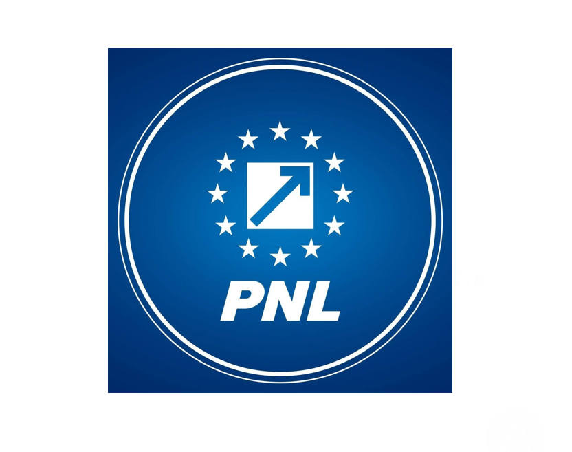 Congres extraordinar al PNL, convocat duminică, la Romexpo. Vor fi prezenți 2.500 de delegaţi