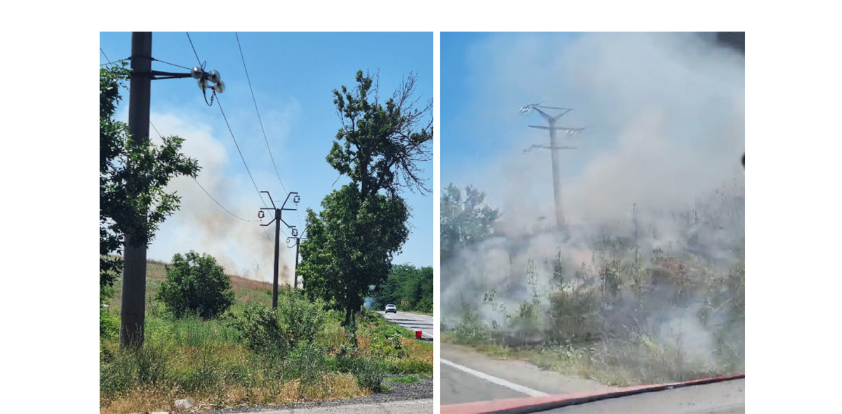 VIDEO ALERTĂ la Hârșova: Incendiu de vegetație pe DN2A