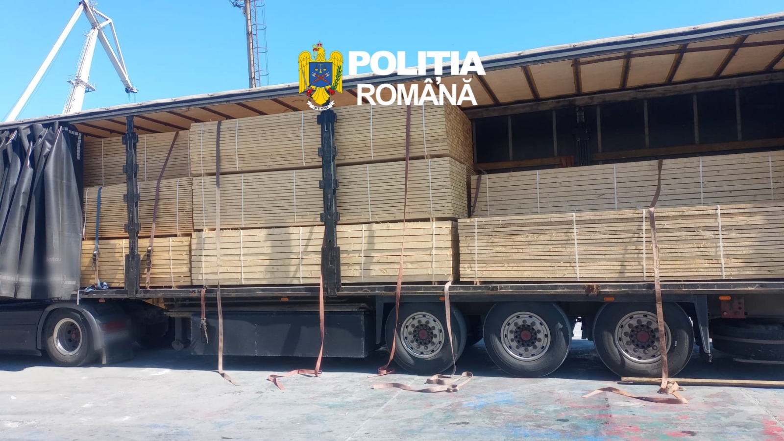 Cherestea transportată ilegal, descoperită cu autospeciala Cargoscan în Portul Constanța Sud: S-a deschis dosar penal