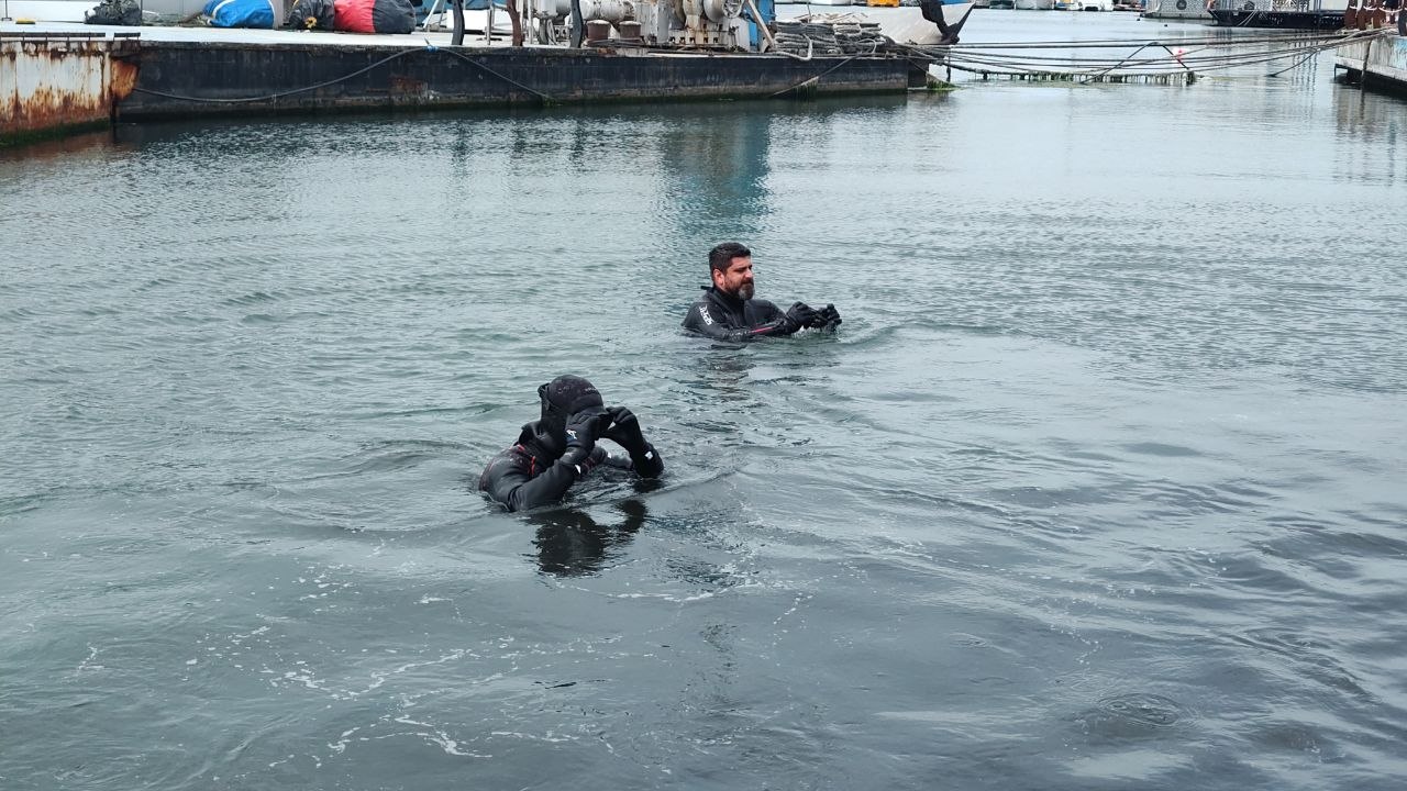 FOTO VIDEO Scafandri și voluntari participă la o amplă acțiune de ecologizare în Portul Turistic Mangalia. Acțiunea, organizată de Asociația Ape Limpezi și Albastre