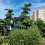 OFICIAL: Cum spun polițiștii că a avut loc accidentul din zona intersecției bulevardului Aurel Vlaicu cu Tomis
