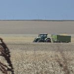 Mii de fermieri nu și-au primit integral subvențiile de la APIA în 2025: Ce transmite Ministerul Agriculturii
