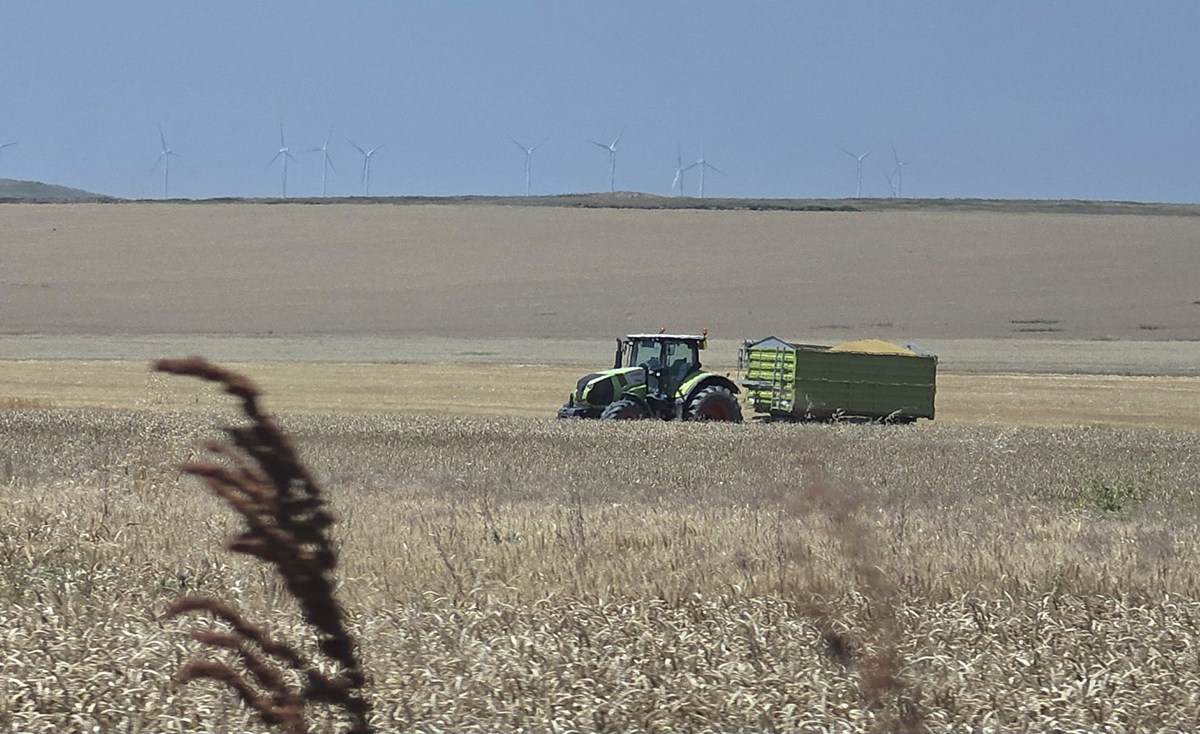 Mii de fermieri nu și-au primit integral subvențiile de la APIA în 2025: Ce transmite Ministerul Agriculturii