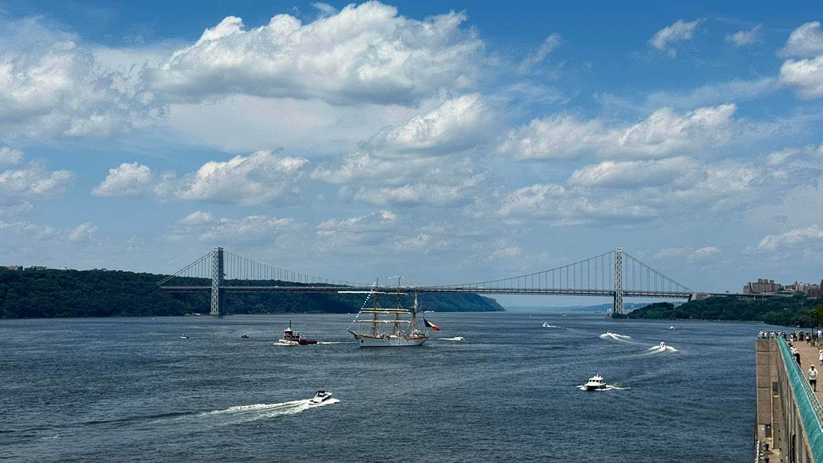 Bricul Mircea la New York