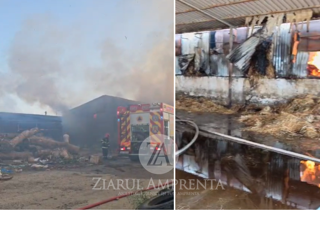 VIDEO Incendiu puternic la o fermă din comuna Nicolae Bălcescu