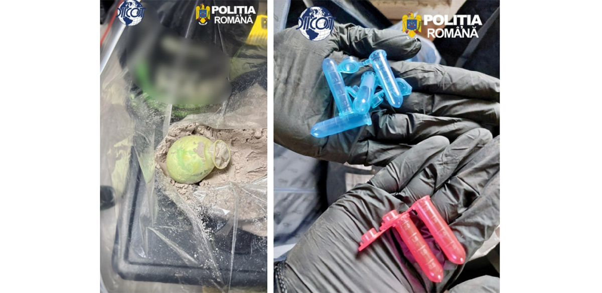 FOTO Traficanții au găsit o nouă metodă de a aduce droguri în țară: Le ascund în microtuburi și prezervative