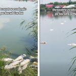 VIDEO DEZASTRU ecologic pe lacul Corbu: Sute de pești MORȚI au împânzit luciul apei