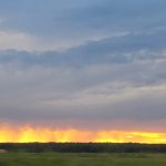 Atenție, agricultori: Secetă pedologică în nordul și centrul Dobrogei! Anunțul meteorologilor