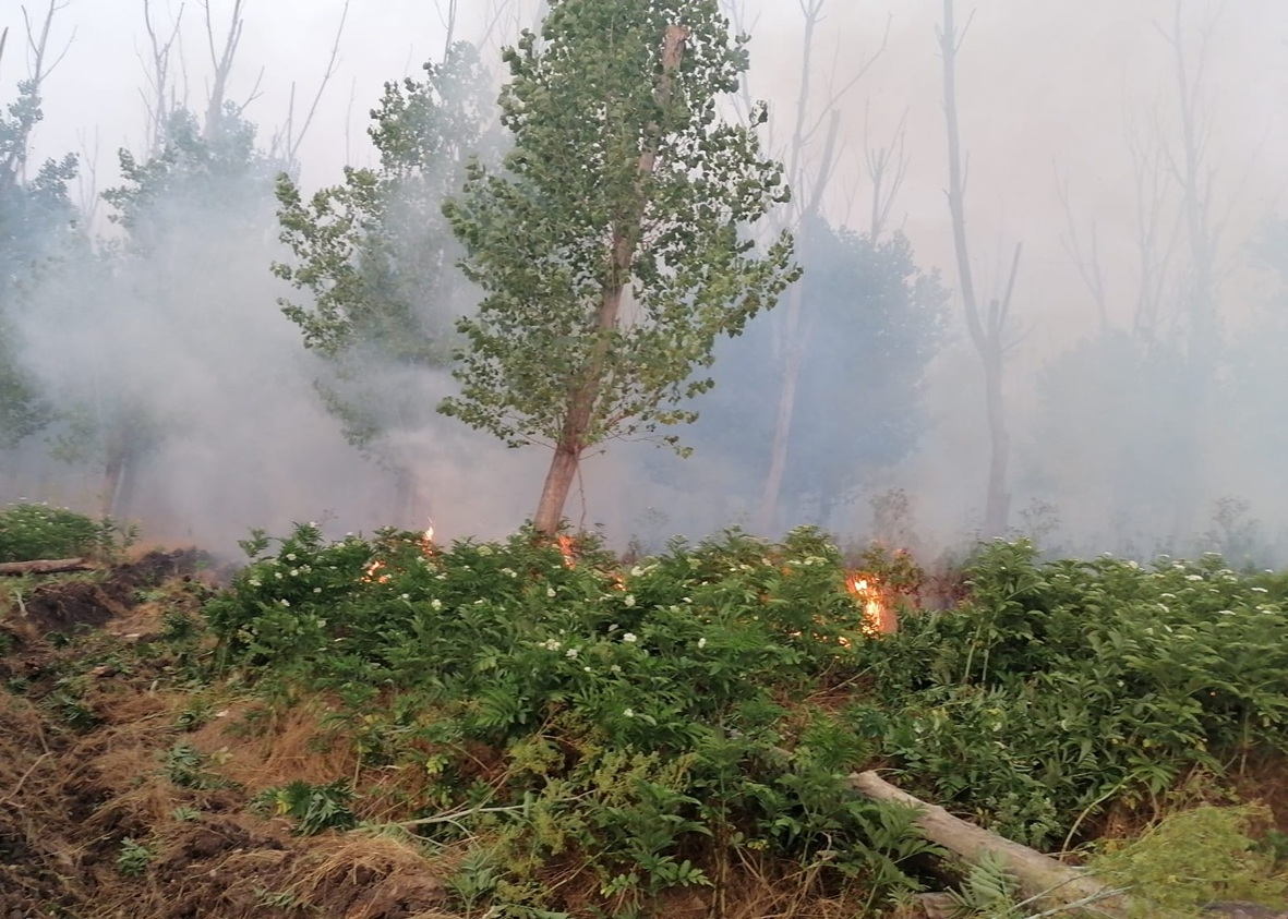 Atenţionare de călătorie! Coduri portocaliu şi galben de incendii de vegetaţie pentru Sardinia şi Sicilia