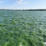 FOTO VIDEO Imagini neobișnuite la Constanța: Lacul Tăbăcărie a prins o culoare verde smarald