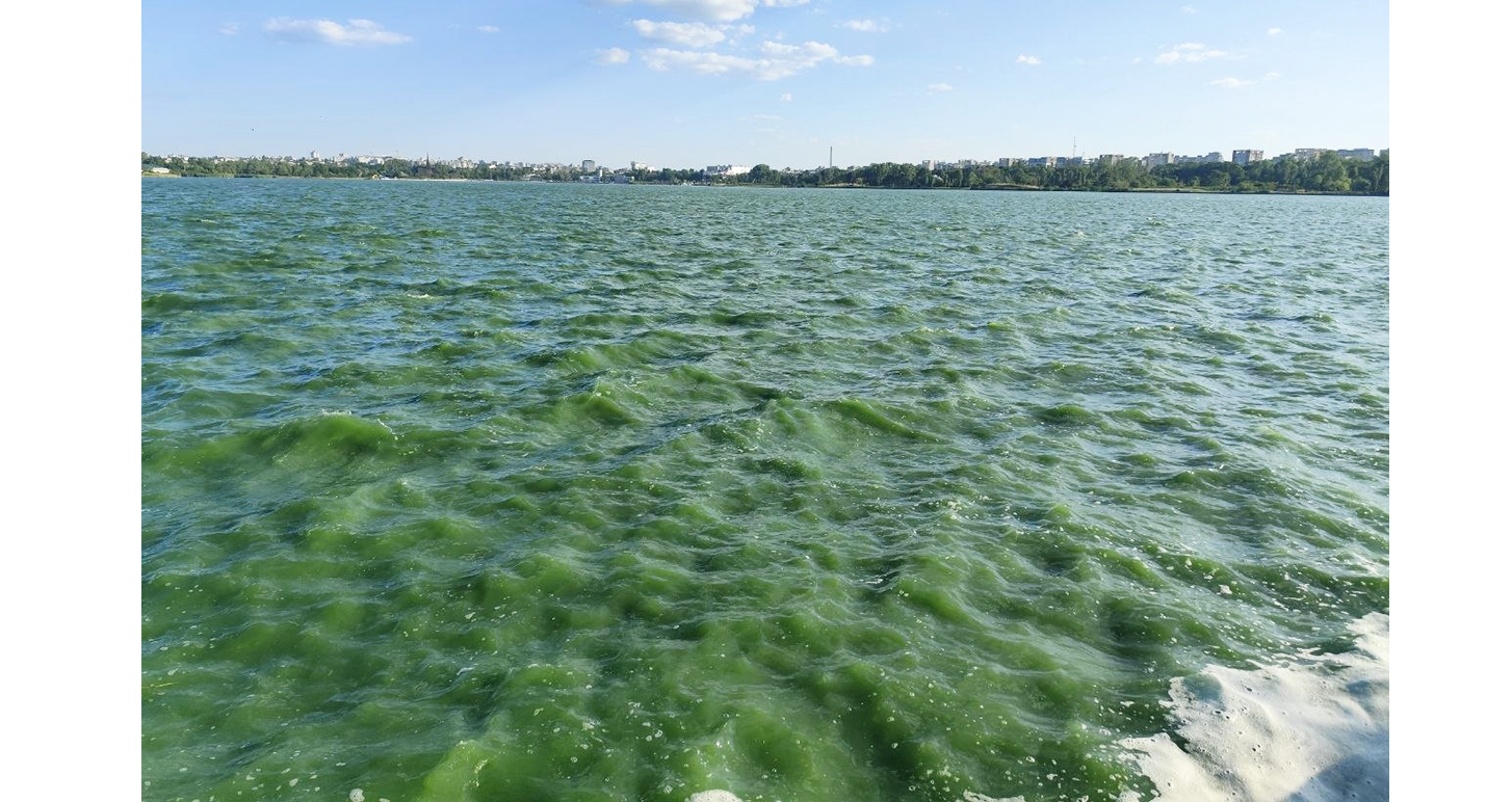 FOTO VIDEO Imagini neobișnuite la Constanța: Lacul Tăbăcărie a prins o culoare verde smarald