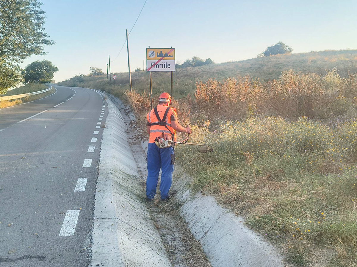Drumuri Județene Constanța