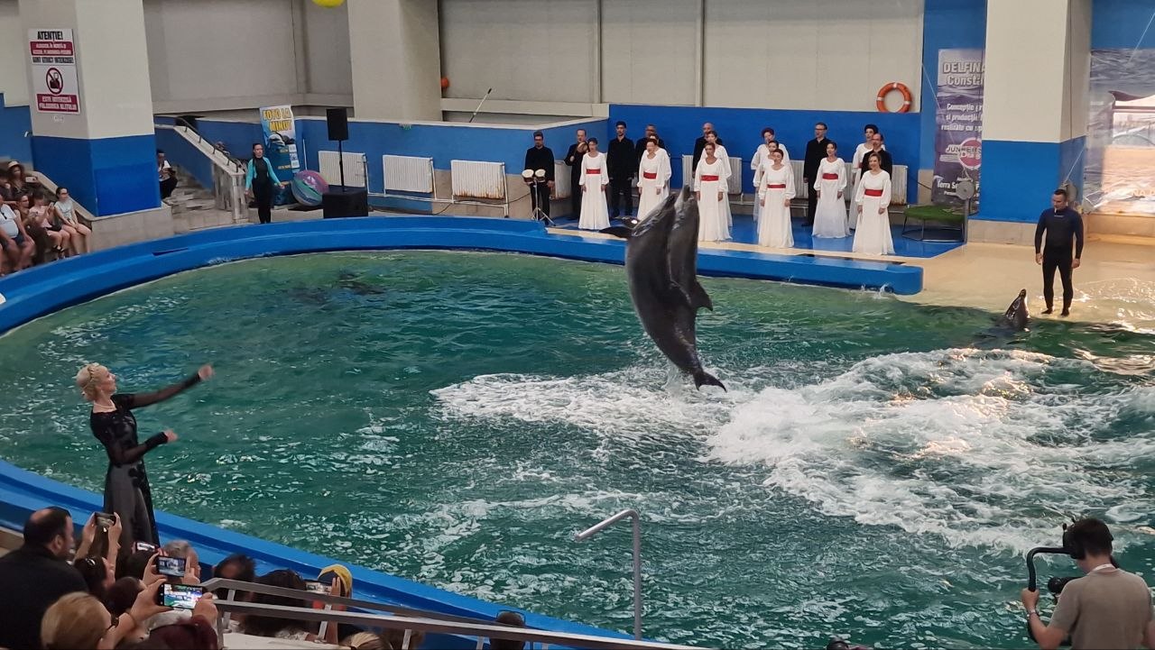 LIVE FOTO VIDEO Recital EXTRAORDINAR la Delfinariul din Constanța: Vocile Corului Madrigal se împletesc cu expresivitatea delfinilor, în cadrul spectacolului intitulat ULTRAsunete! Sute de oameni sunt prezenți