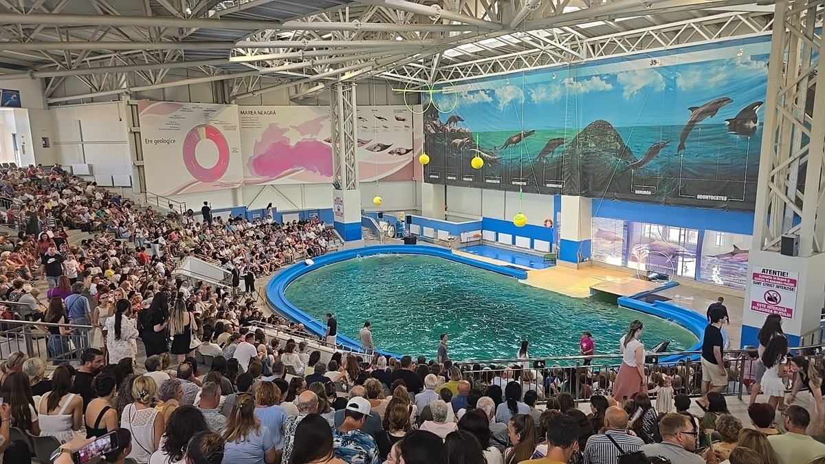 LIVE FOTO VIDEO Recital EXTRAORDINAR la Delfinariul din Constanța: Vocile Corului Madrigal se împletesc cu expresivitatea delfinilor, în cadrul spectacolului intitulat ULTRAsunete! Sute de oameni sunt prezenți