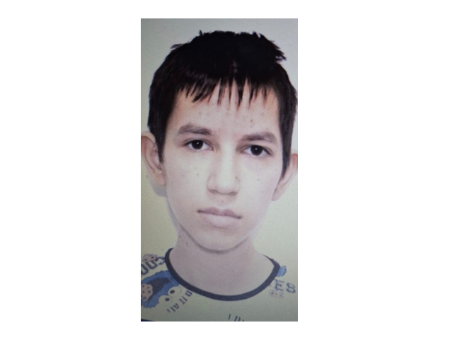 L-aţi văzut? Poliția caută un tânăr de 19 ani, cu afecțiuni psihice, dispărut într-un lan de porumb la Topolog